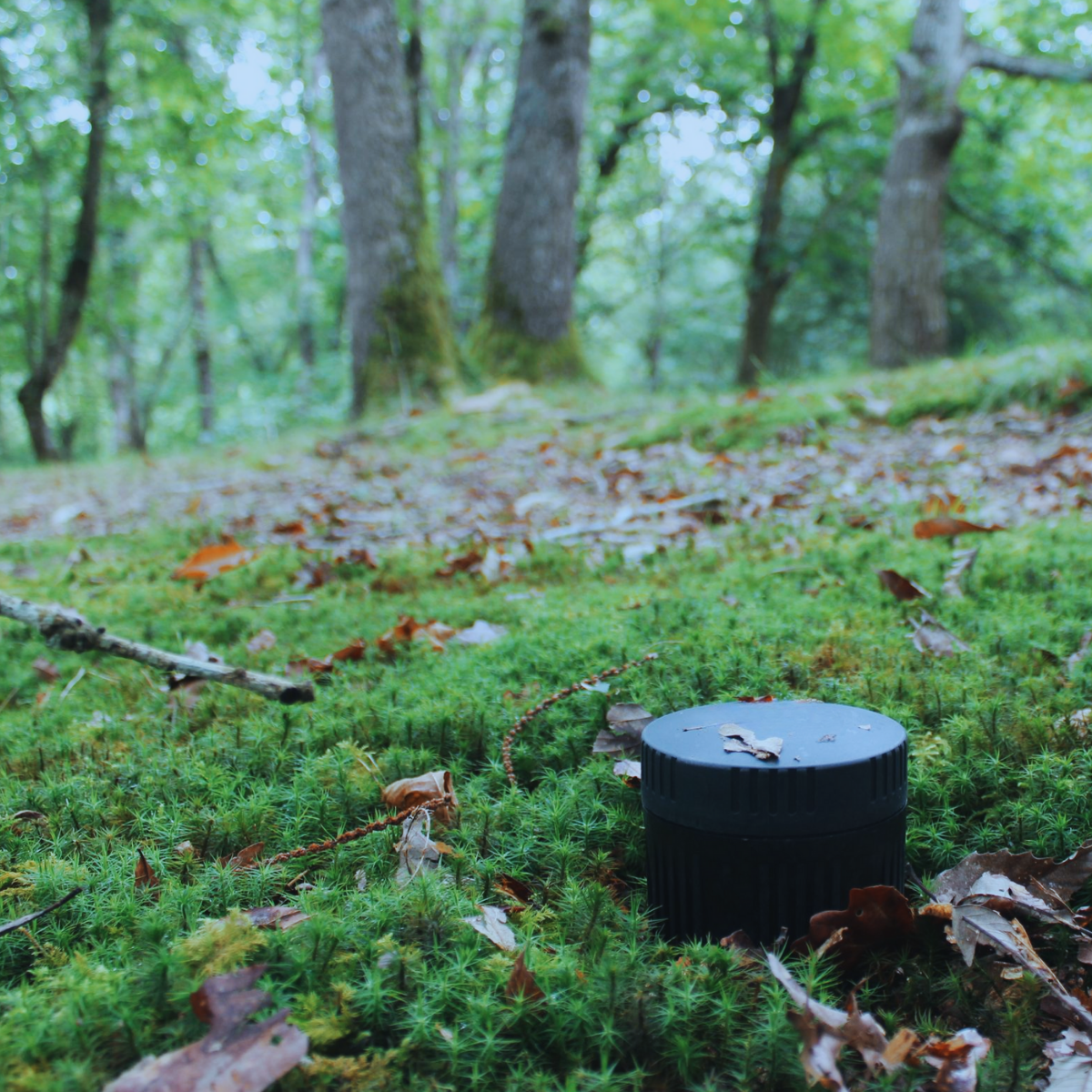 Dispositivo IoT
